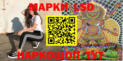 амф Шахты
