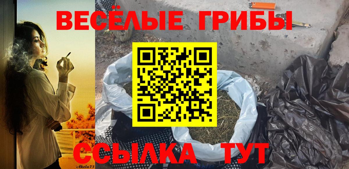 Галлюциногенные грибы Cubensis  Псилоцибиновые грибы мицелий  Канаш  купить наркоту  Вход с VPN 